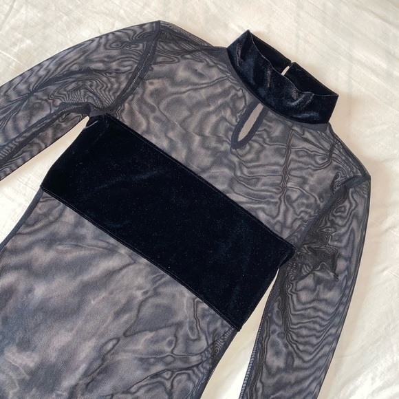 Sheer mesh long sleeve bodysuit with velvet - Picture 3 of 4